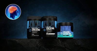 Creatine and Cognitive Performance: What the Research Suggests