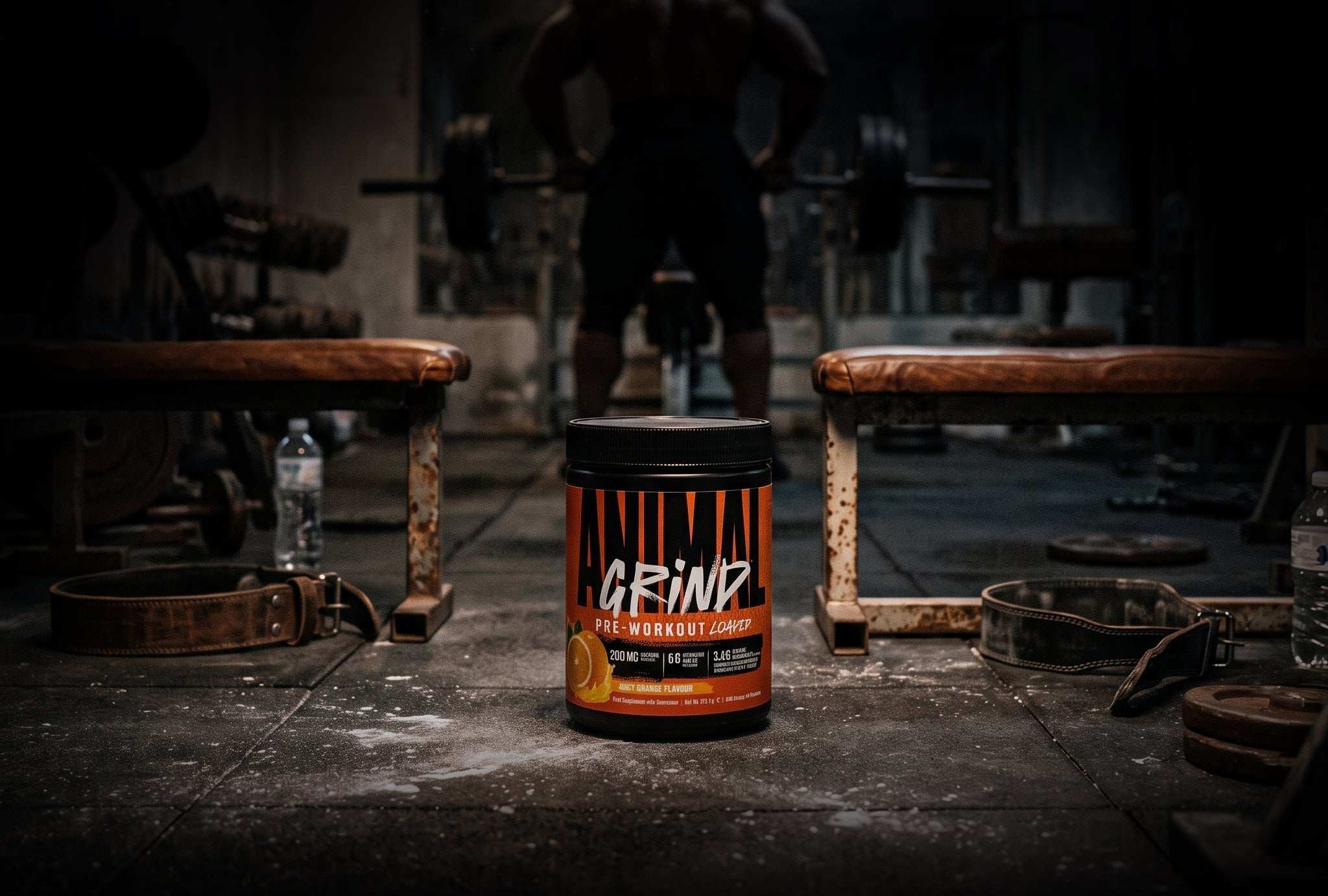 Back to the Grind: Reigniting Your Training Routine After Summer