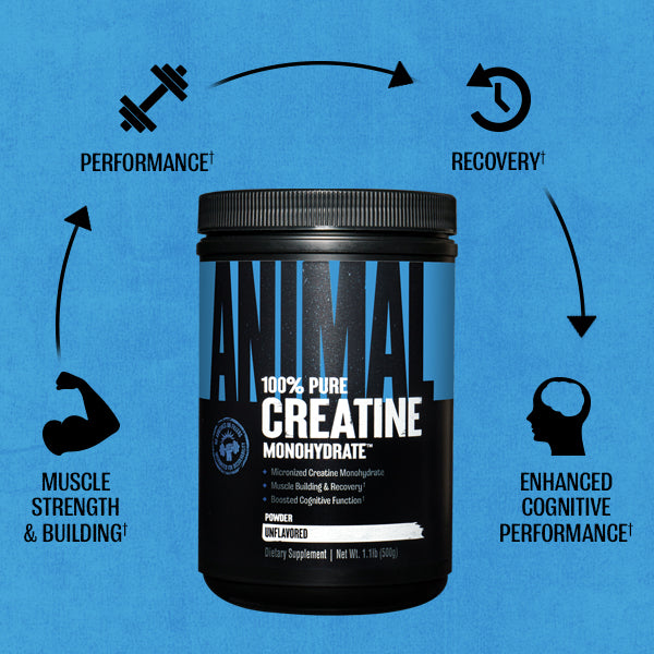 micronized_creatine